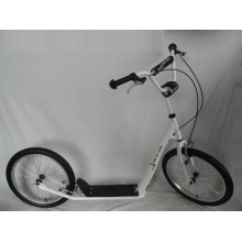 20" Steel Frame Kick Scooter (H2020)